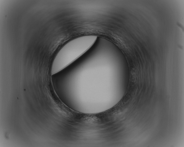 X0000092110642200709121130