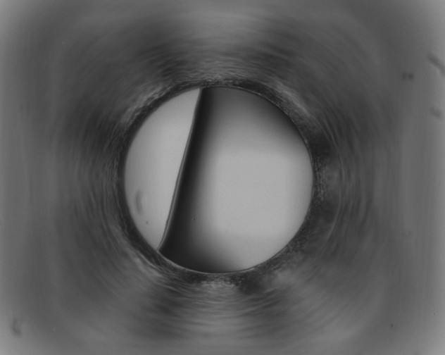 X0000092110644200709121130