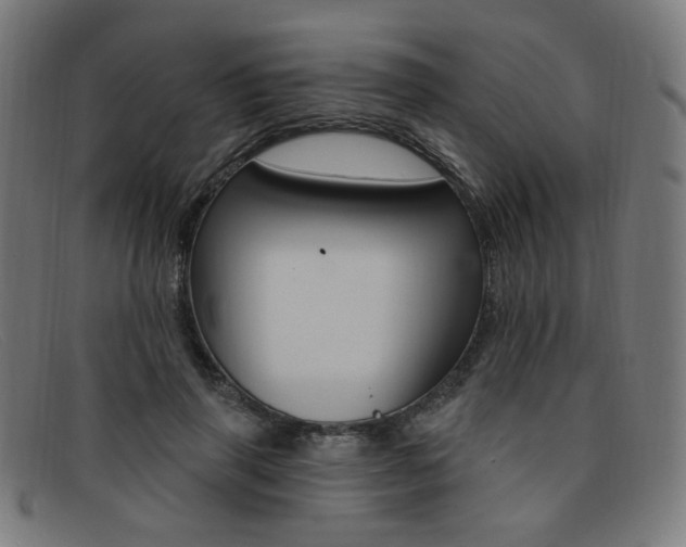 X0000092110645200709121130