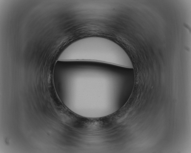 X0000092110646200709121130