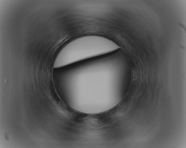 X0000092110648200709121130