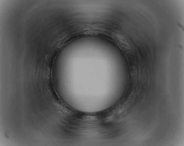 X0000092110649200709121130