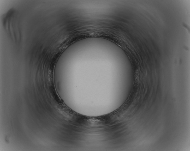 X0000092110650200709121130