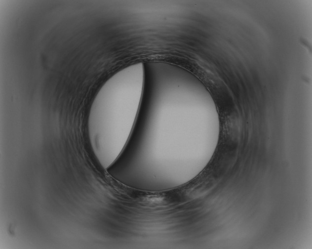 X0000092110651200709121130