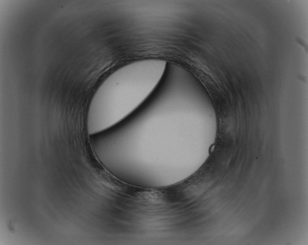 X0000092110652200709121130