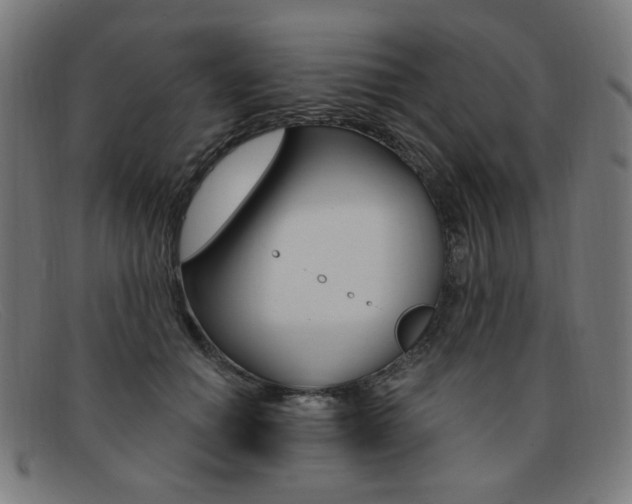 X0000092110654200709121130
