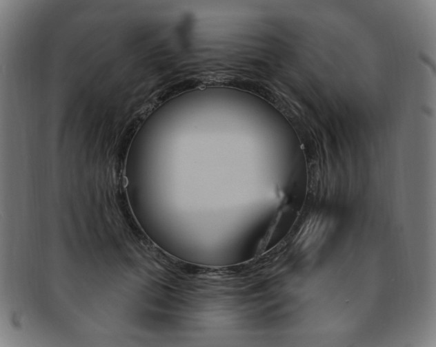 X0000092110655200709121130