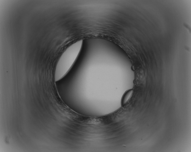 X0000092110656200709121130