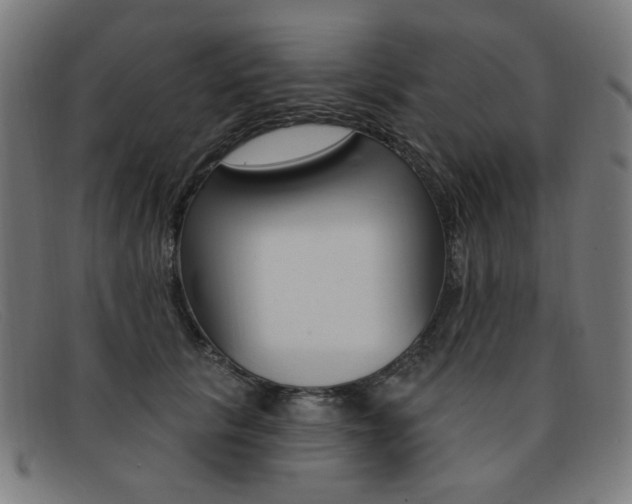 X0000092110657200709121130