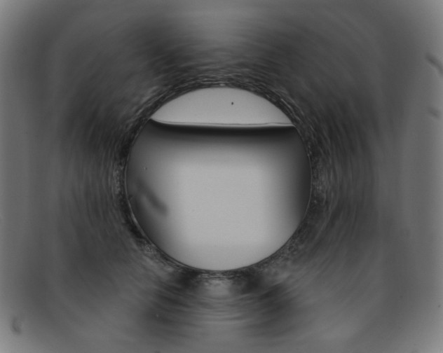 X0000092110658200709121130