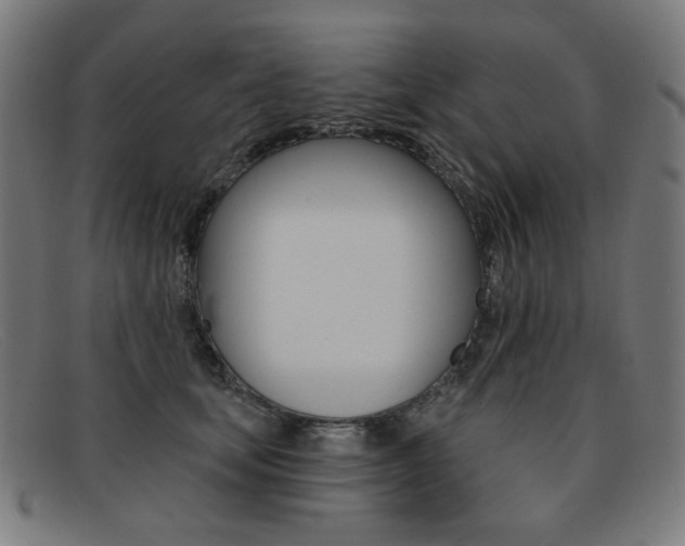 X0000092110659200709121130