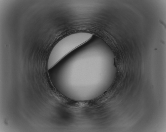 X0000092110660200709121130