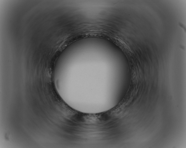 X0000092110661200709121130