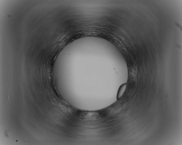 X0000092110663200709121130