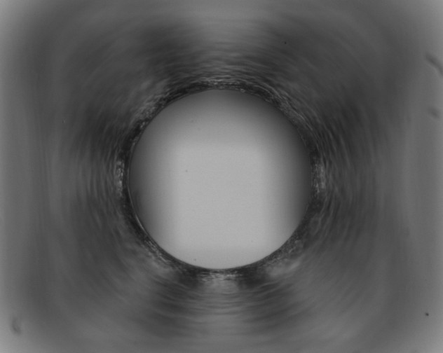 X0000092110664200709121130