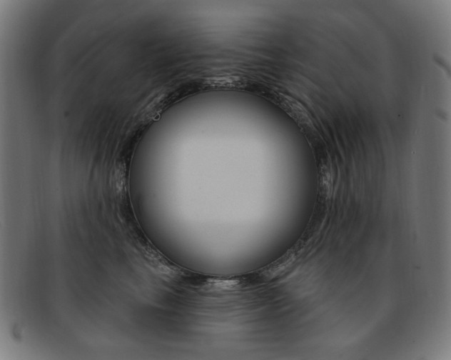 X0000092110665200709121130
