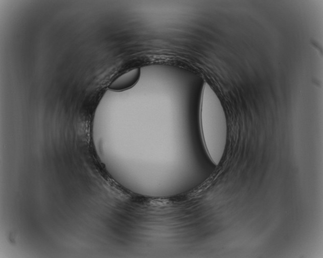 X0000092110666200709121130