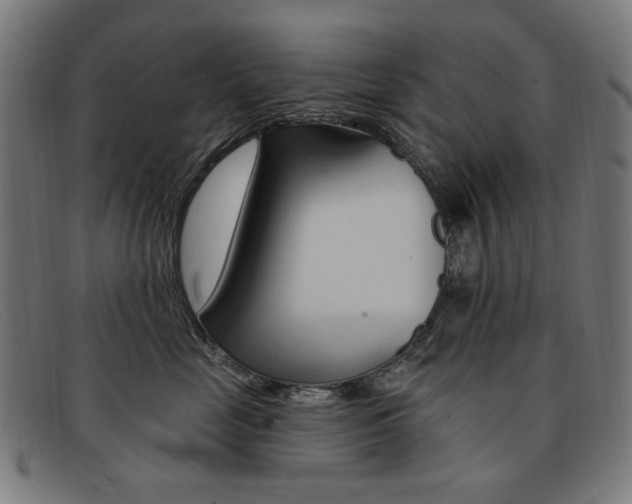 X0000092110669200709121130