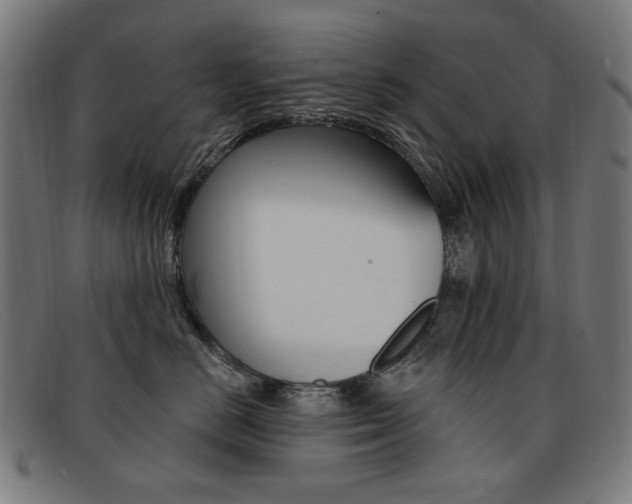 X0000092110670200709121131