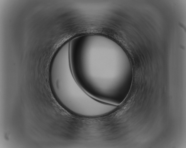 X0000092110673200709121130