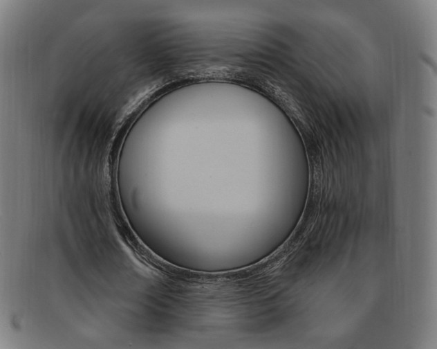 X0000092110674200709121130