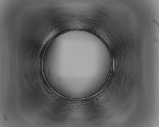 X0000092110675200709121130