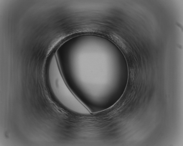X0000092110676200709121130