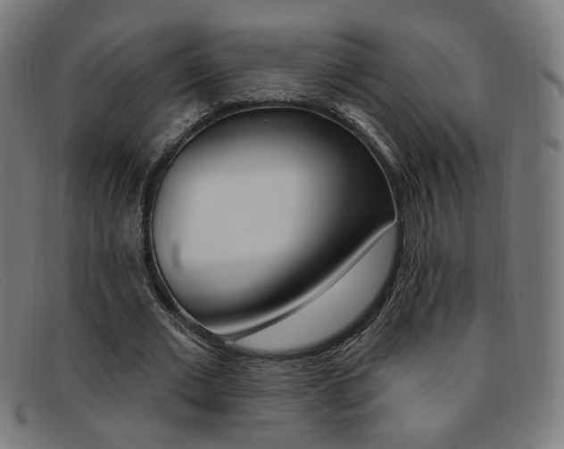 X0000092110677200709121130