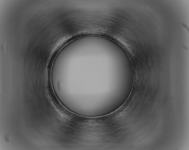 X0000092110678200709121130