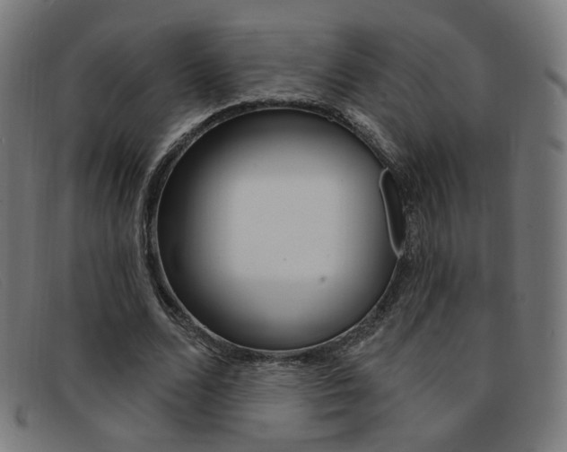 X0000092110680200709121130