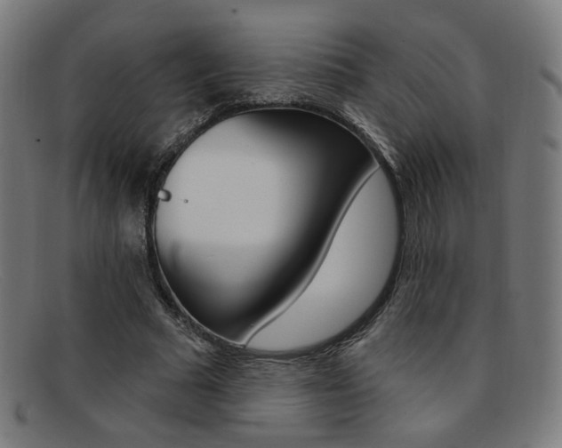 X0000092110681200709121130
