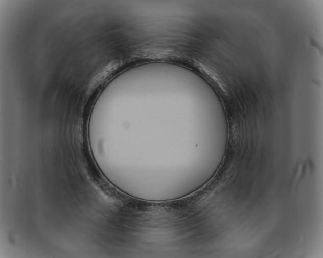 X0000092110682200709121130