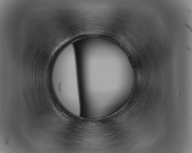X0000092110684200709121130