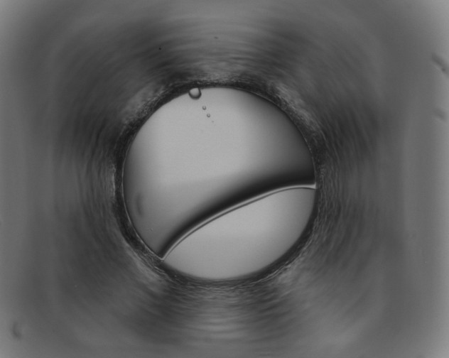 X0000092110685200709121130