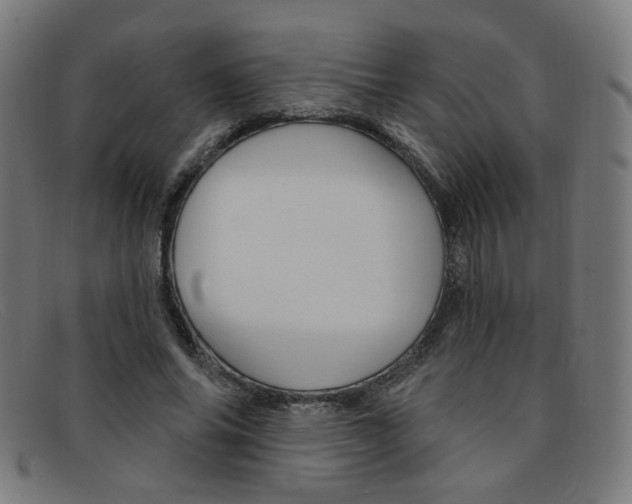 X0000092110686200709121130