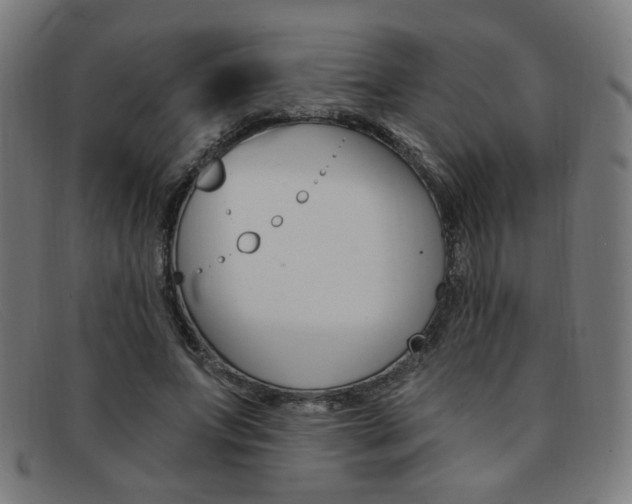 X0000092110687200709121130