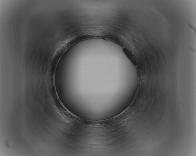 X0000092110688200709121130