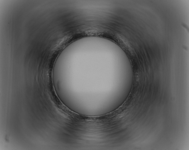 X0000092110690200709121130