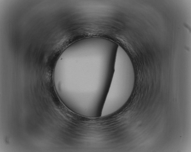 X0000092110691200709121130