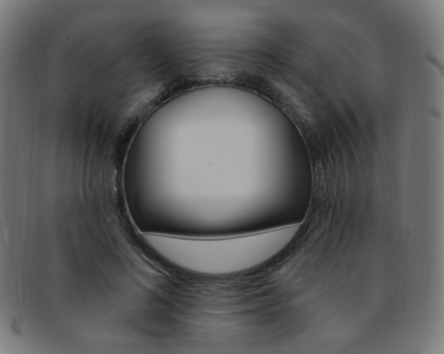 X0000092110692200709121130