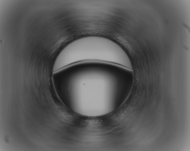 X0000092110693200709121130