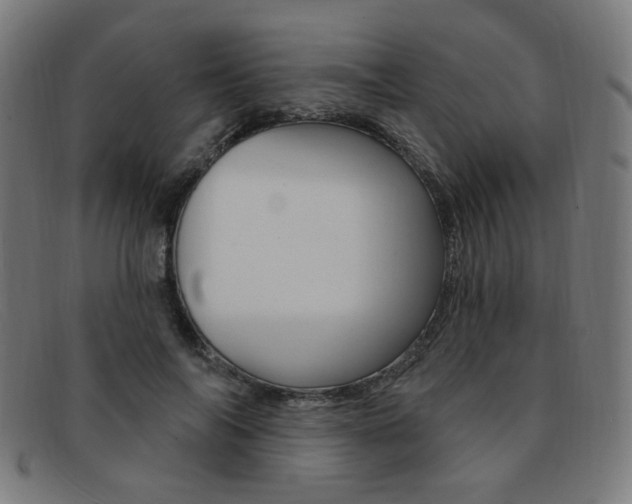 X0000092110694200709121130