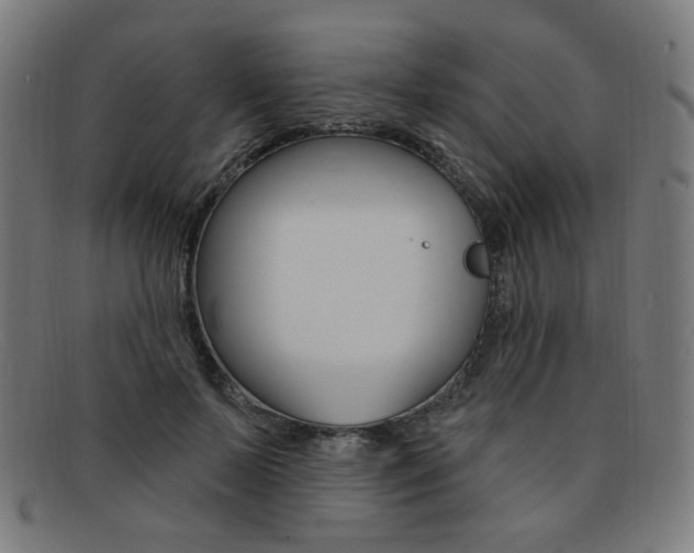 X0000092110695200709121130