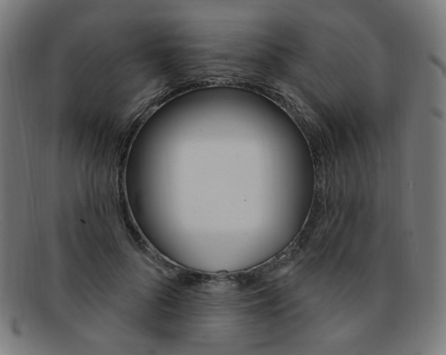 X0000092110696200709121130