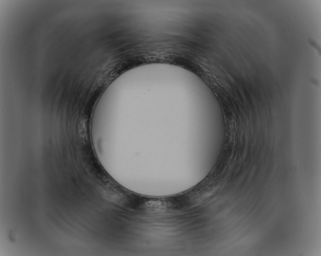 X0000092110699200709121130