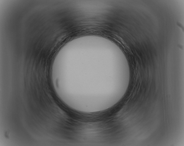 X0000092110701200709121130