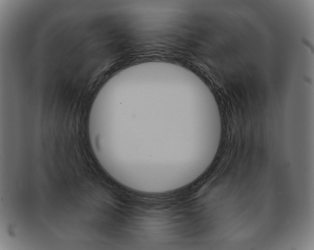 X0000092110705200709121130