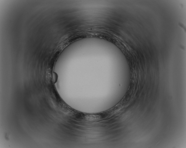 X0000092110707200709121130