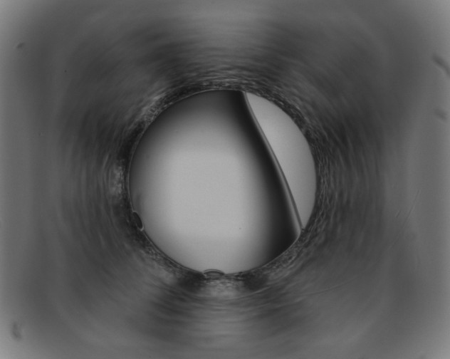 X0000092110708200709121130