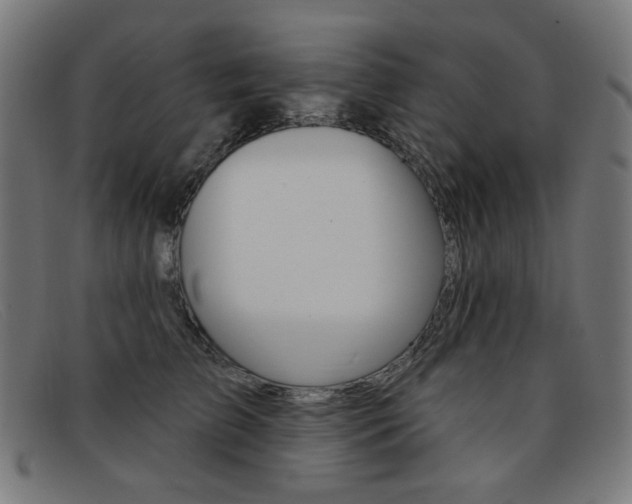 X0000092110709200709121130